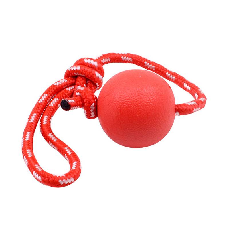 Dog toy ball elastic ball, grinding grinding teeth real ball, teddy puppy unraveling rubber ball pet training scream