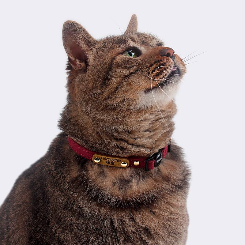 Cat engraved identity card security deduction loop leather card custom anti -walking phone card license plate small lightweight neck ring
