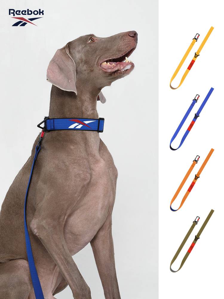 Reebok Ruizu Dog Drives Rope Middle Dogs Walking Dog String Circle Golden Mao Bian Pedibing Dobin Pet Dog Chain