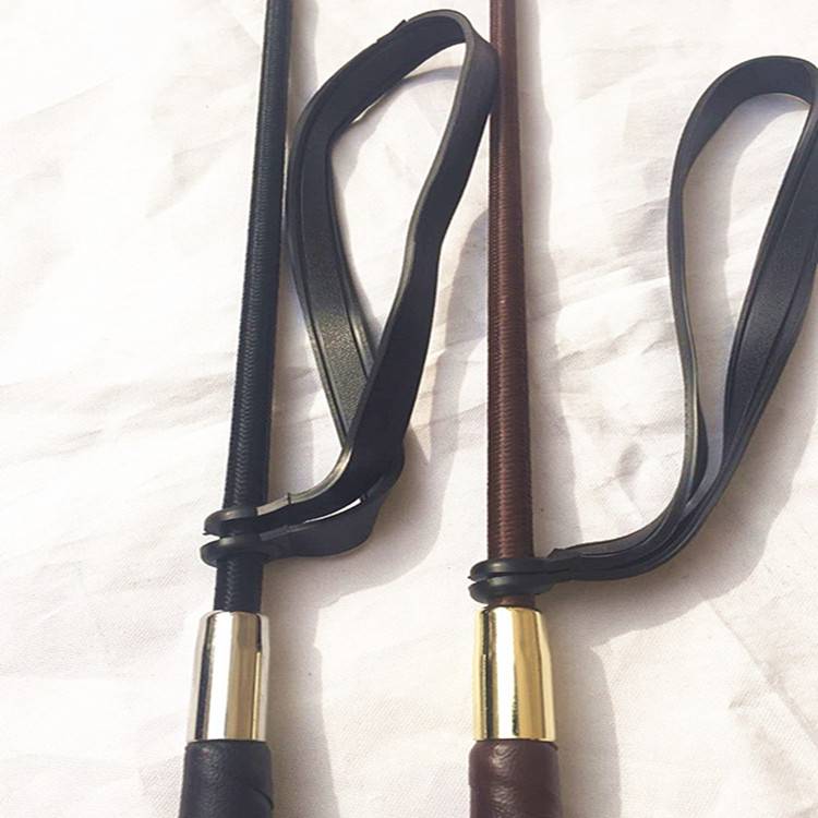 A horse's whip, a horse's whip, a whip's whip, a horse's whip, a knight's horse's kit
