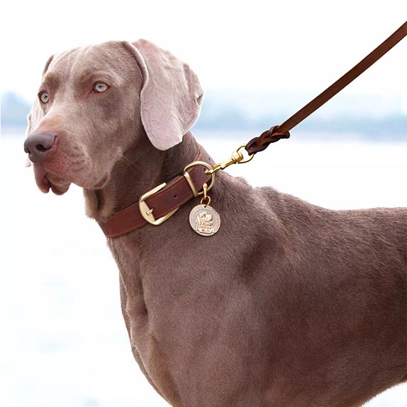 Dog's collar traction September leather dog brand customized nodes anti -throw small, medium large dog neck ring dog circle neck ring