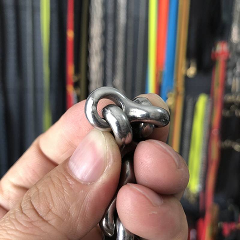 Mid -large dog -specific dog neck circles 5 mm crowdon pets collars dog chain dog Germany Demon Golden Mao Dubin P chain