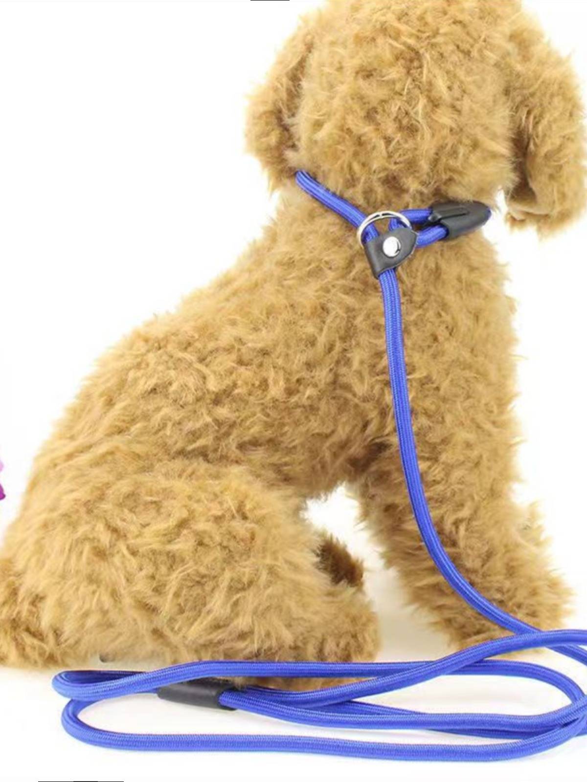 Dog traction rope training dog P rope teddy golden retriever small medium large dog P chain anti -explosion dog chain nylon dog rope