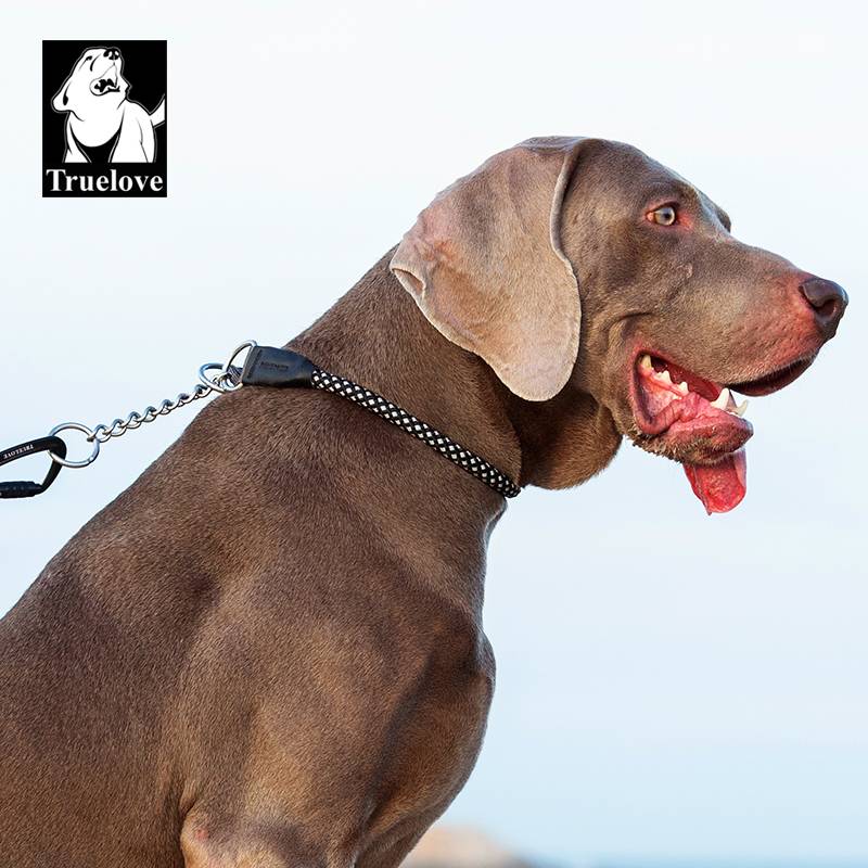 Truelove dogs collar, neck ring, dog training, semi -P chain, explosion -proof rope traction rope, large dog supplies