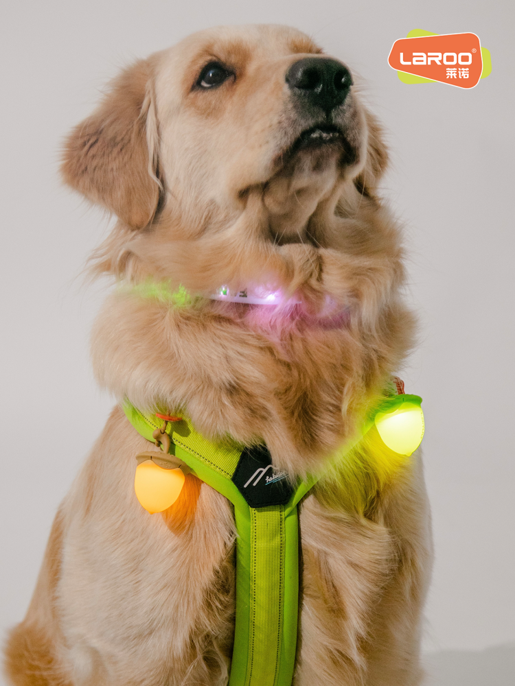 Dog night running lamp laroo Laroo Laeno pet hazelnut lamp pendant pendant can charging neck ring cat walking dogs