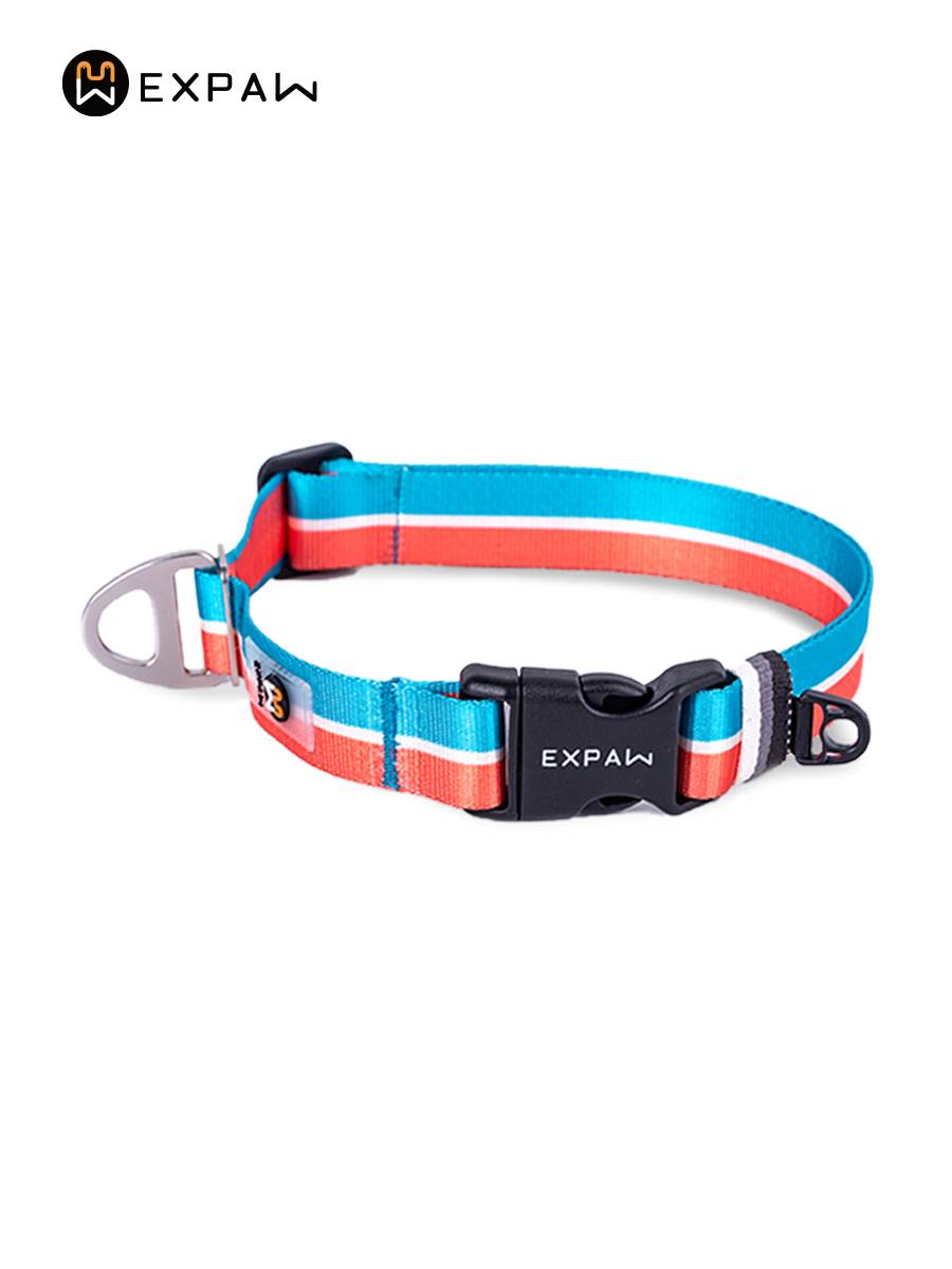 Xpaws Cross dog collar nylon light adjustable pet neck circular medium -sized dog knot can hang the dog card