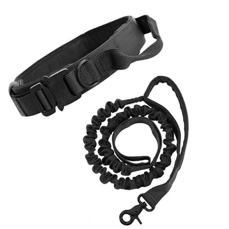 Dog Big Block Neck Circuit in the Big Dog Circle to Find the Circles Circle Circle Circle Golden Moral Dog Tactical Tactical Training Set