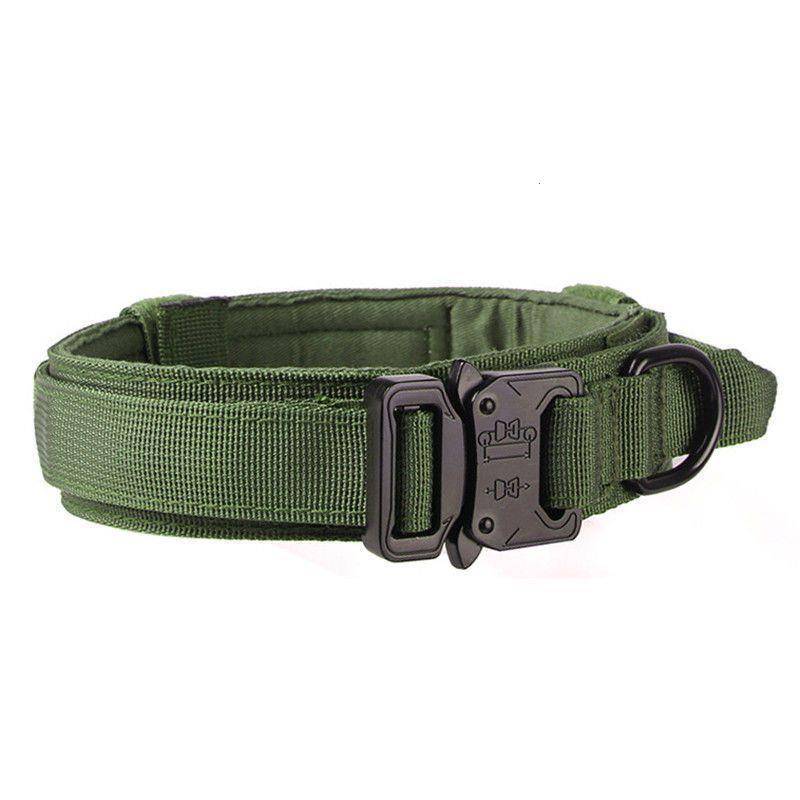 Dog Big Block Neck Circuit in the Big Dog Circle to Find the Circles Circle Circle Circle Golden Moral Dog Tactical Tactical Training Set