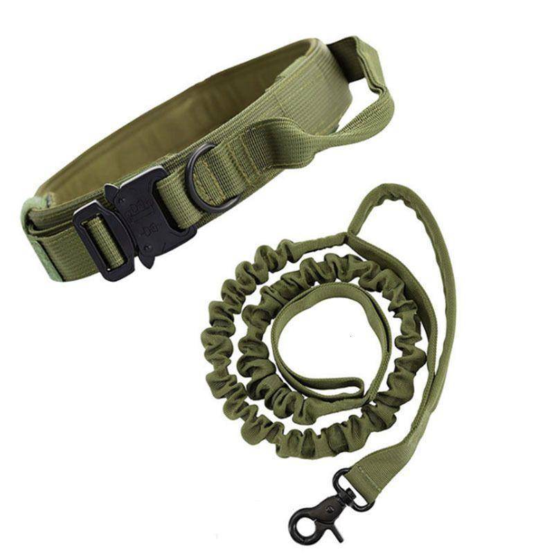 Tactical collar and dog rope to promote new money