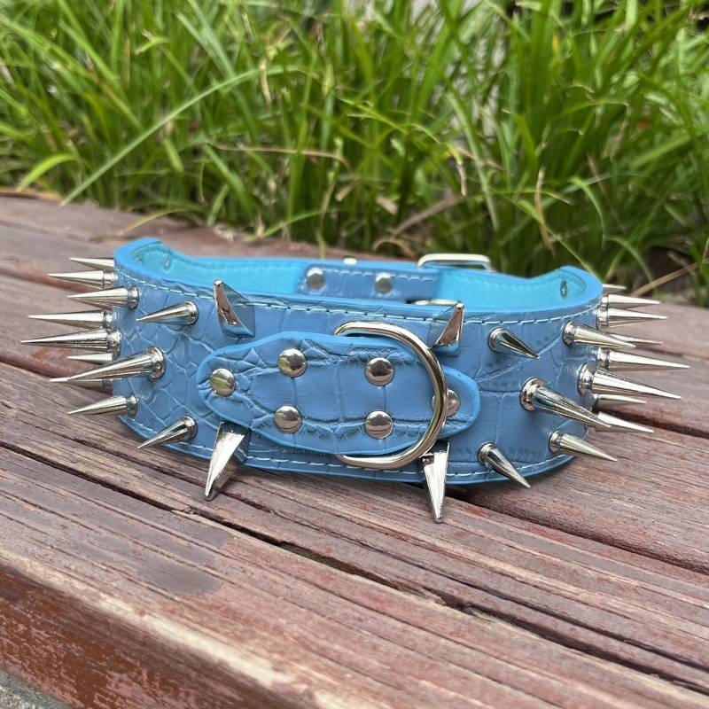 Blue collar silver and long nails