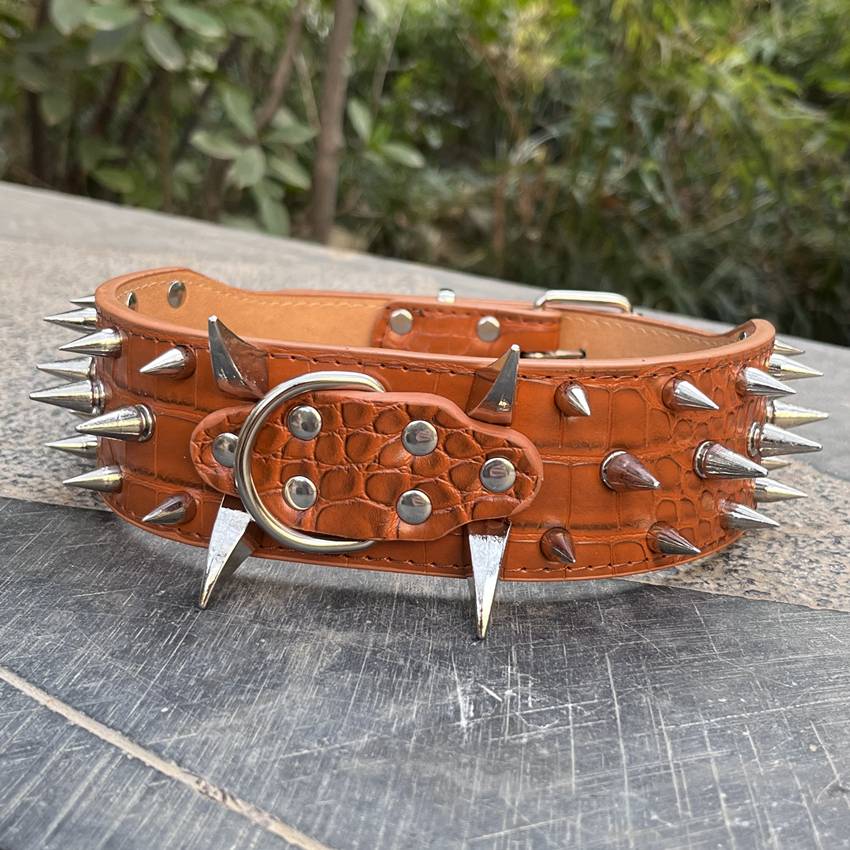 Brown collar, silver general nail