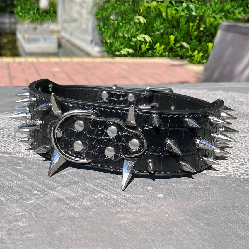 Black collar silver general nails