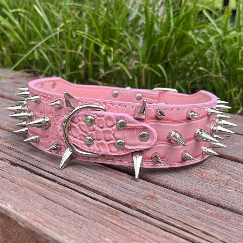 Silver general nails in pink collars