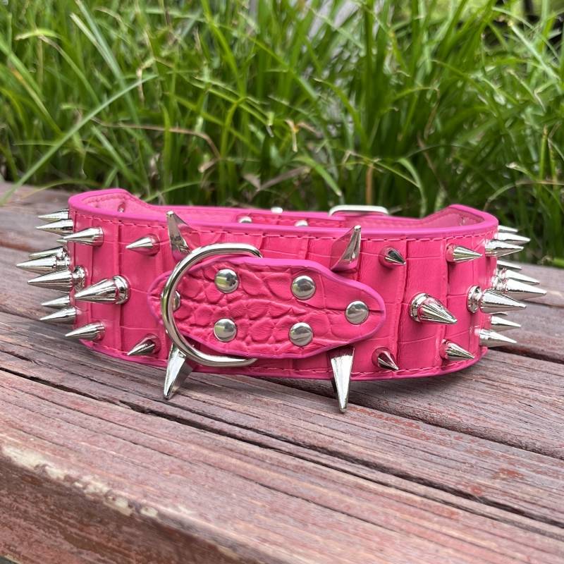 A silver nail in a red collar