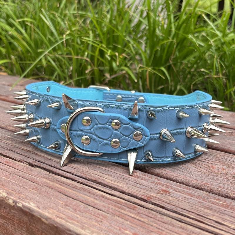 Blue collar silver general nails