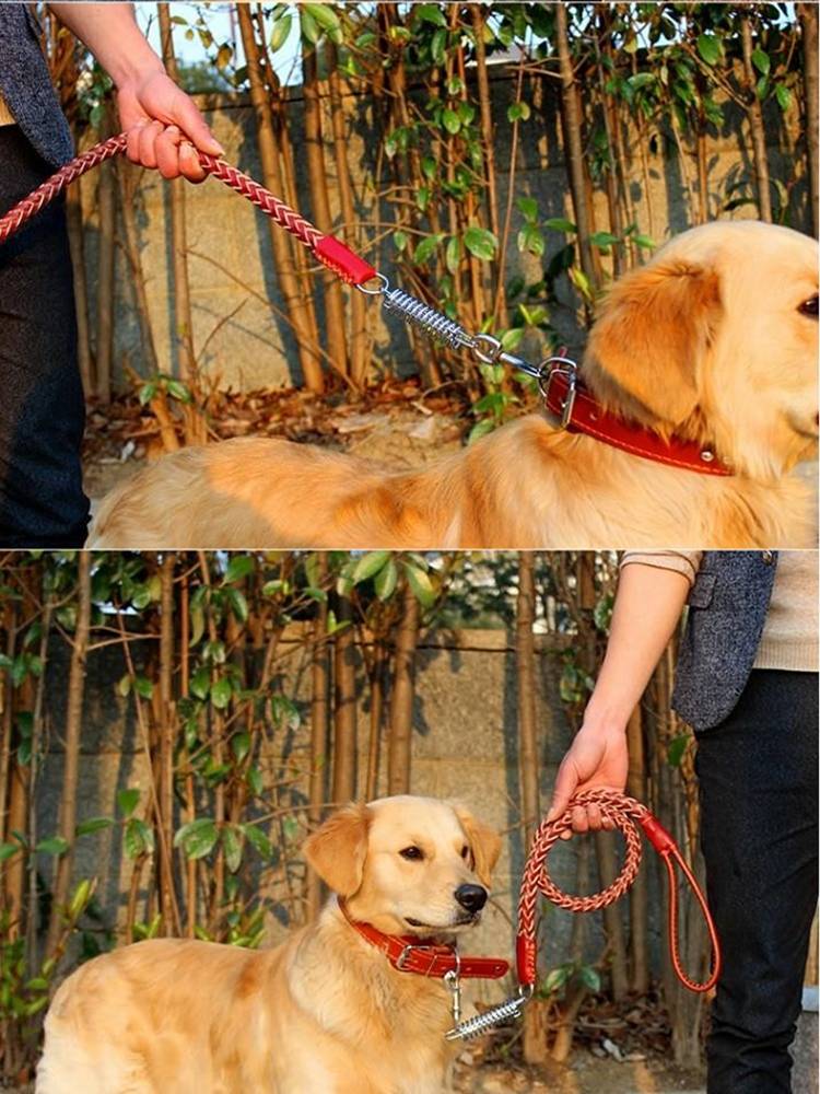 Leather cowhide medium large dog dog traction dog chain collar Golden Mao Dehuo explosion -proof dog ropes