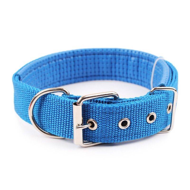 Labrador Bargaining Dogs and Dog collar dog neck clicks small medium -sized dog ring golden retamation golden retriever, neck ring pet supplies
