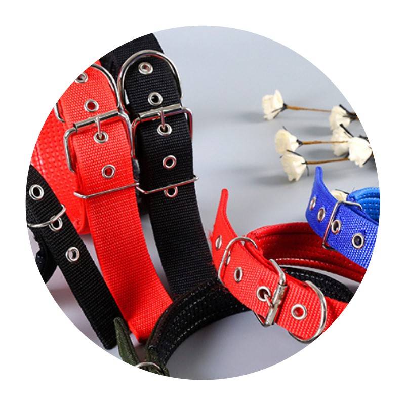 Labrador Bargaining Dogs and Dog collar dog neck clicks small medium -sized dog ring golden retamation golden retriever, neck ring pet supplies