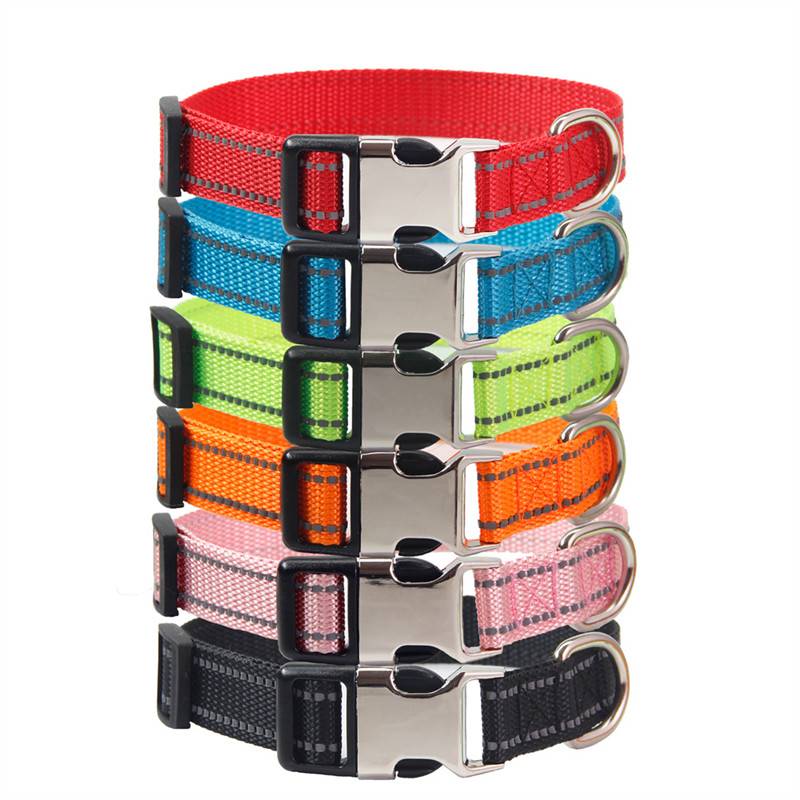 Pet dogs collar engraving to prevent loss of neck ring cat puppies neck ring, small teddy traction dog rope dog chain