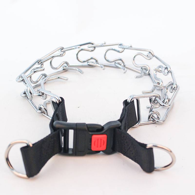 the dog's special p-chain canine training for the bulldog-bit dog on the neck and blast-proof
