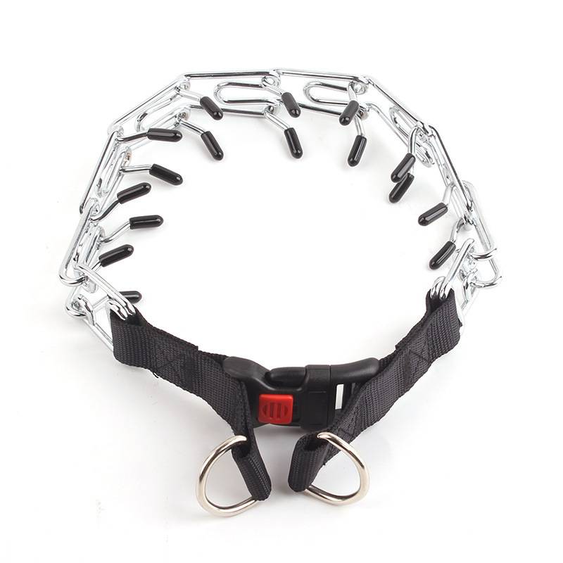 the dog's special p-chain canine training for the bulldog-bit dog on the neck and blast-proof