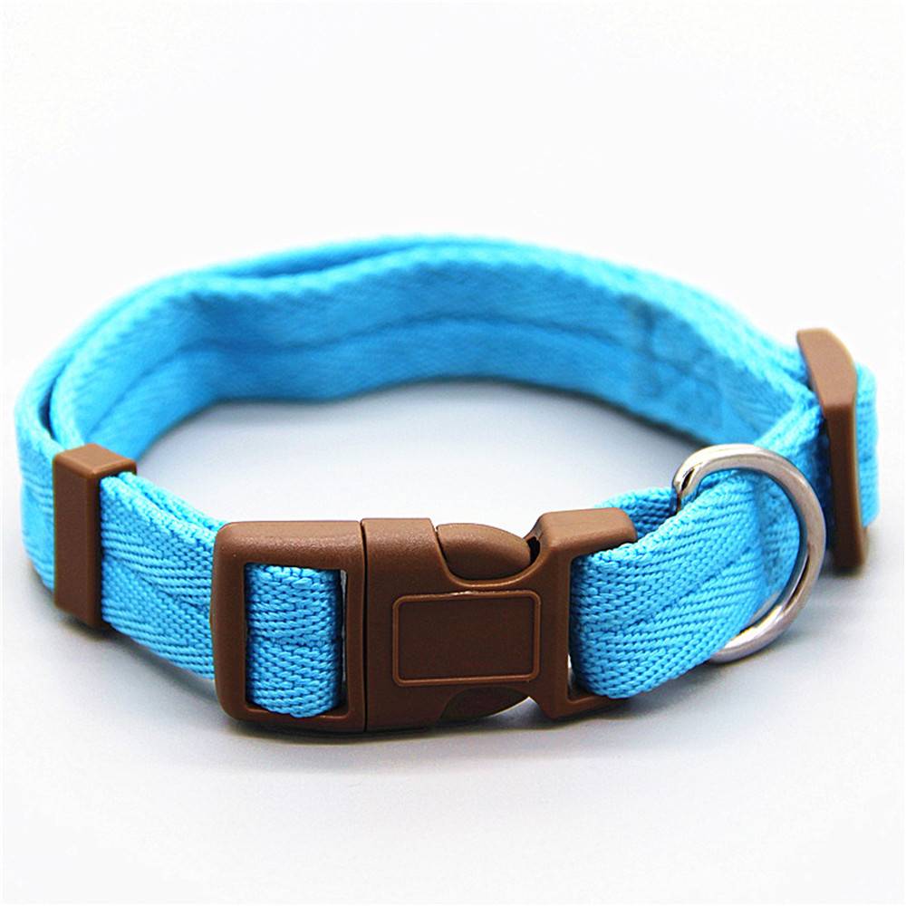 Dog collaboration small dogs and cats anti -couples in the neck circle large teddy Biebelin gold hair pet supplies