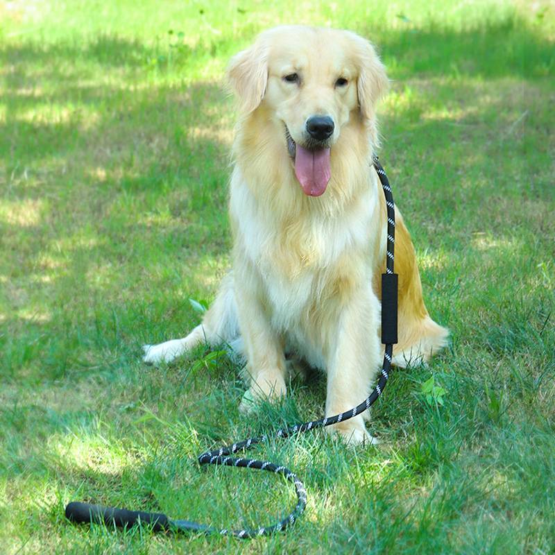 Dog traction rope explosion -proof banded dog walking dog Plinks Pin -slip dog chain golden retriever medium large dog supplies