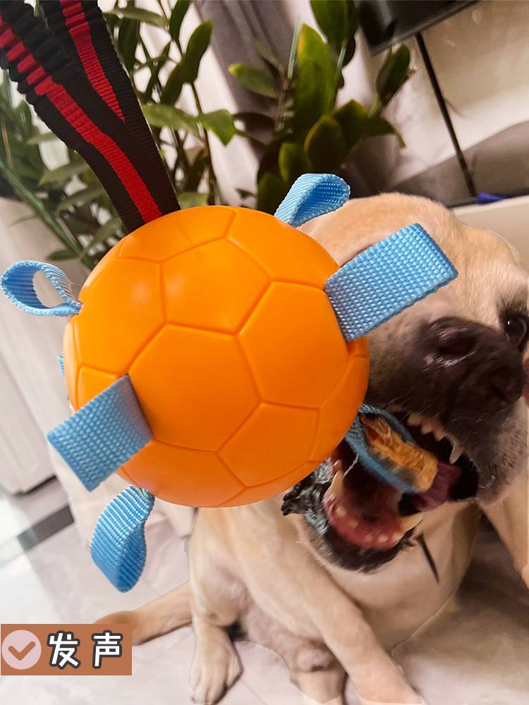 Pet dog toy football and biting screaming ball size dog training interactive interaction puzzle to relieve the boring, hi ball pull the ball