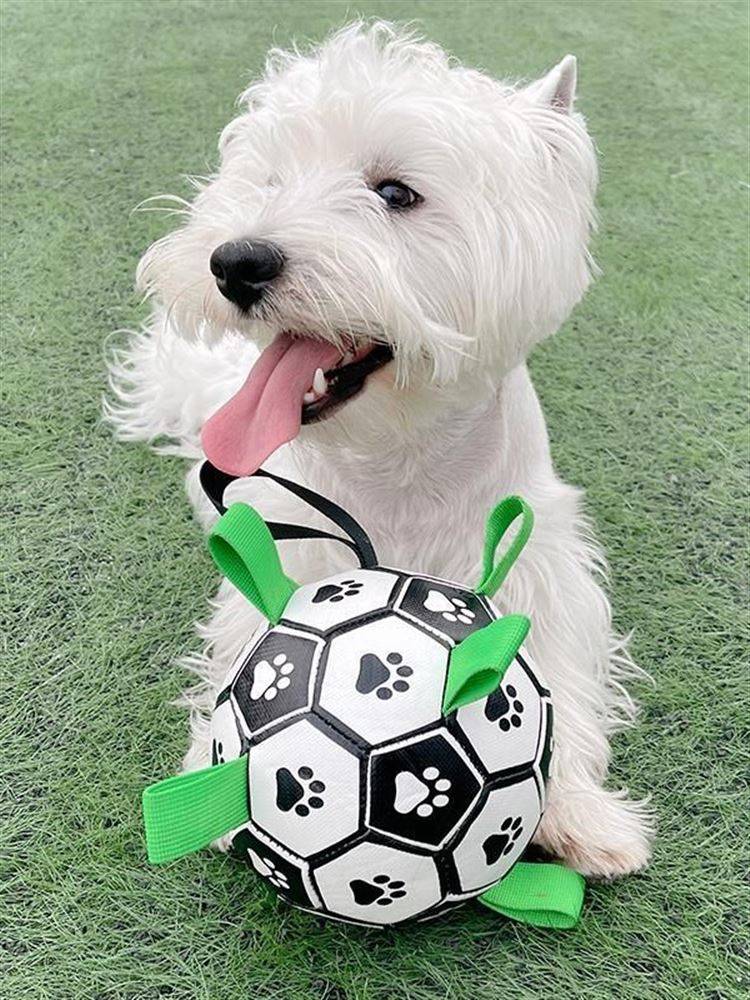 Dog Football Toys Amazon Broken Lightweight High Bomb Large, Small, Small Dog New Pet Bella Same Football