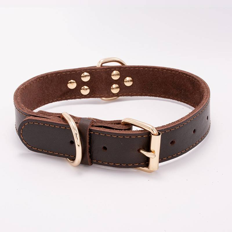 XS-BLANK 1.5CM (REMOVABLE RANGE 25-35CM)