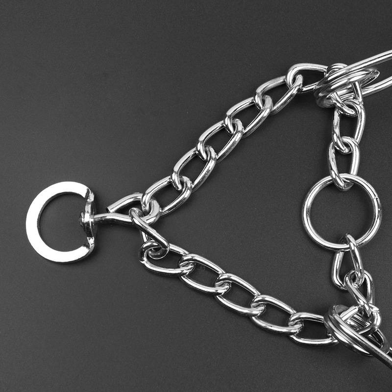 DOGS ARE TRAINED IN DOG STIMULATOR CHAINS