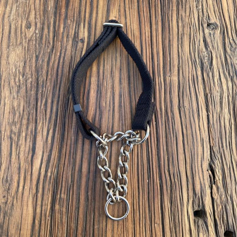 a dog's collar, half-p-chain dog chain, and a nylon nylon can make a dog's collar