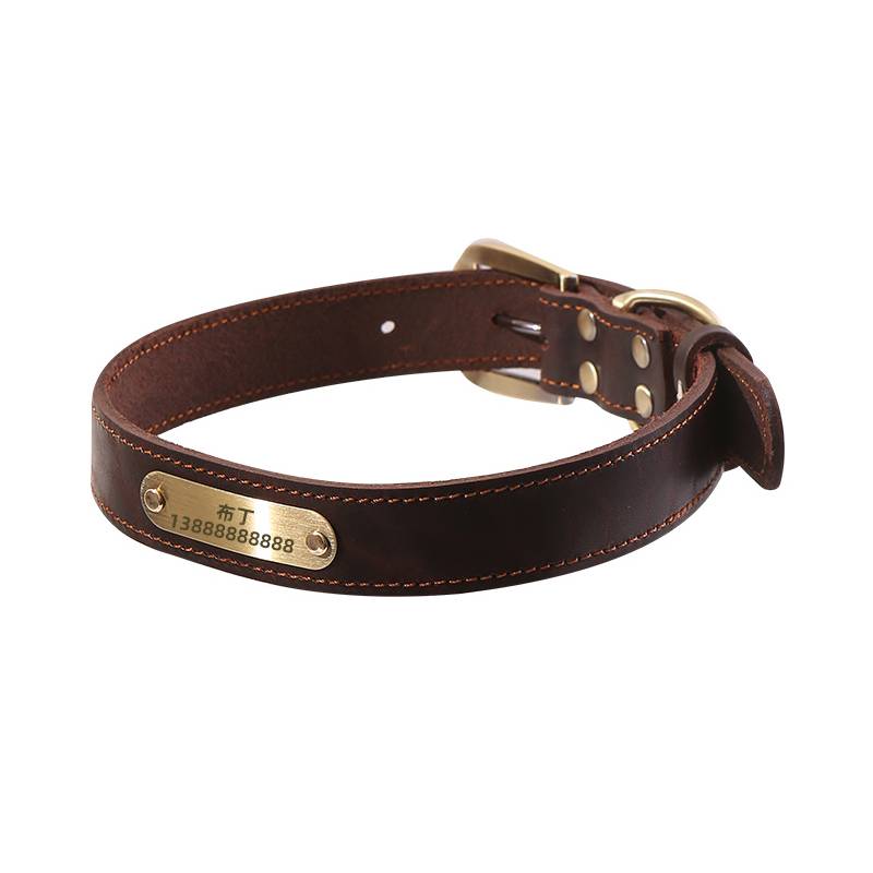 Dog's collar traction September leather dog brand customized nodes anti -throw small, medium large dog neck ring dog circle neck ring