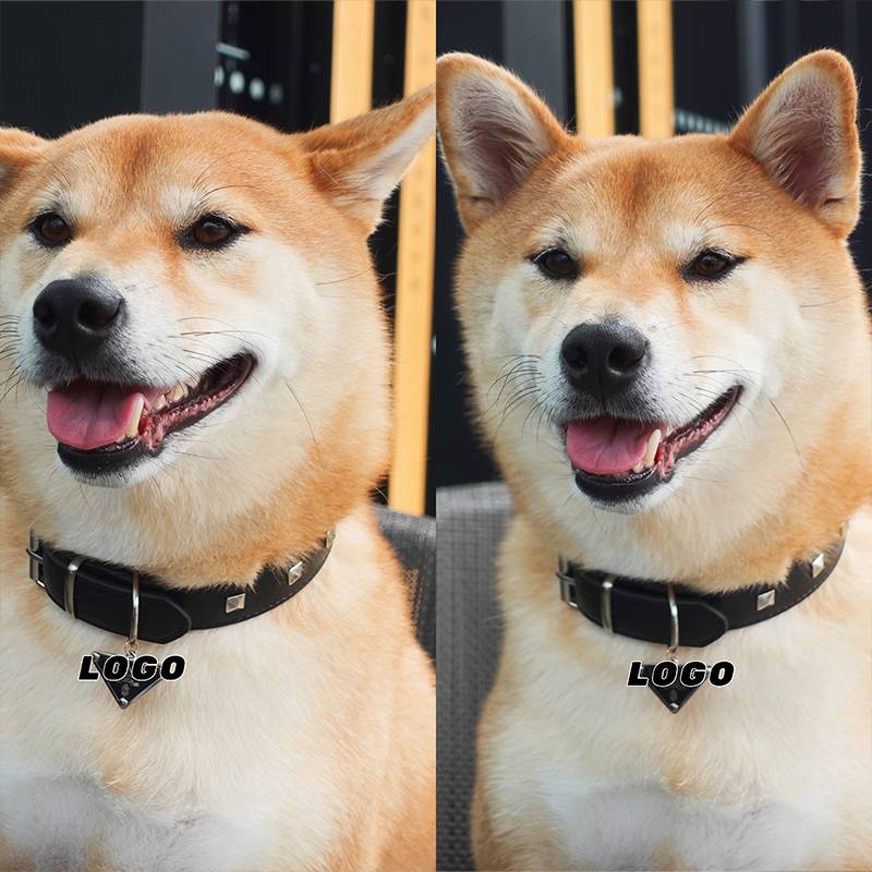 Chao brand triangle cat, dog, Shiba Inu Golden Mao can adjust the neck of the neck, can draw large and medium -sized dog neck ring