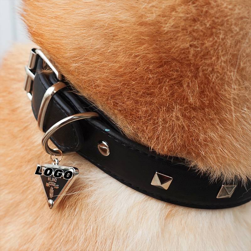 XS (21-27cm neck) cash