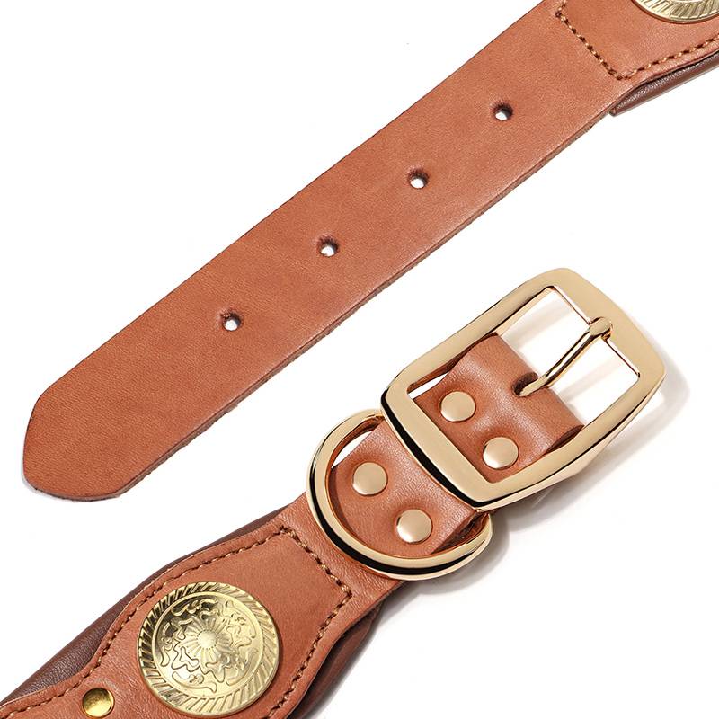 Dog Circle Circles Cowhide Big Dog Bite the Dog Blade Blade Bulleton Bulsro Dogdobin leather dog neck cover
