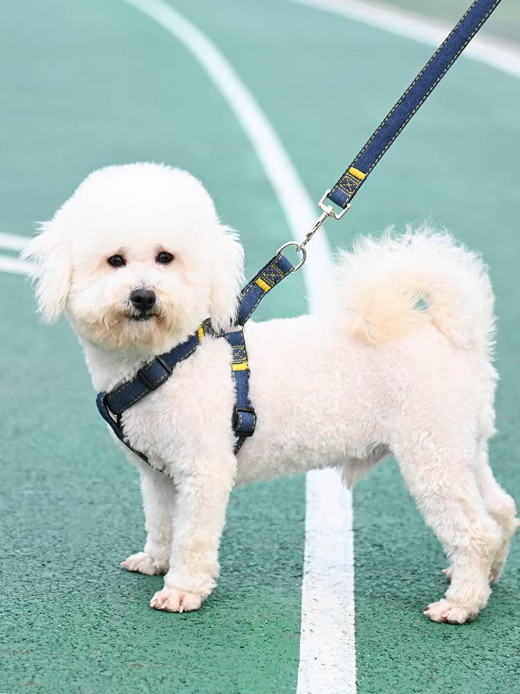 Dog traction rope Large medium -sized dogs chain dogs circle Teddy golden hair walking dog rope pet supplies