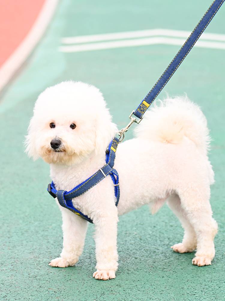 Dog traction rope Large medium -sized dogs chain dogs circle Teddy golden hair walking dog rope pet supplies