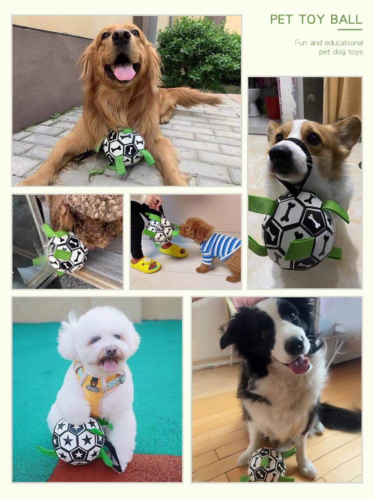 Dog toy ball Teddy Teddy Hi toy Labrador Corki training special dog football toy dog ball