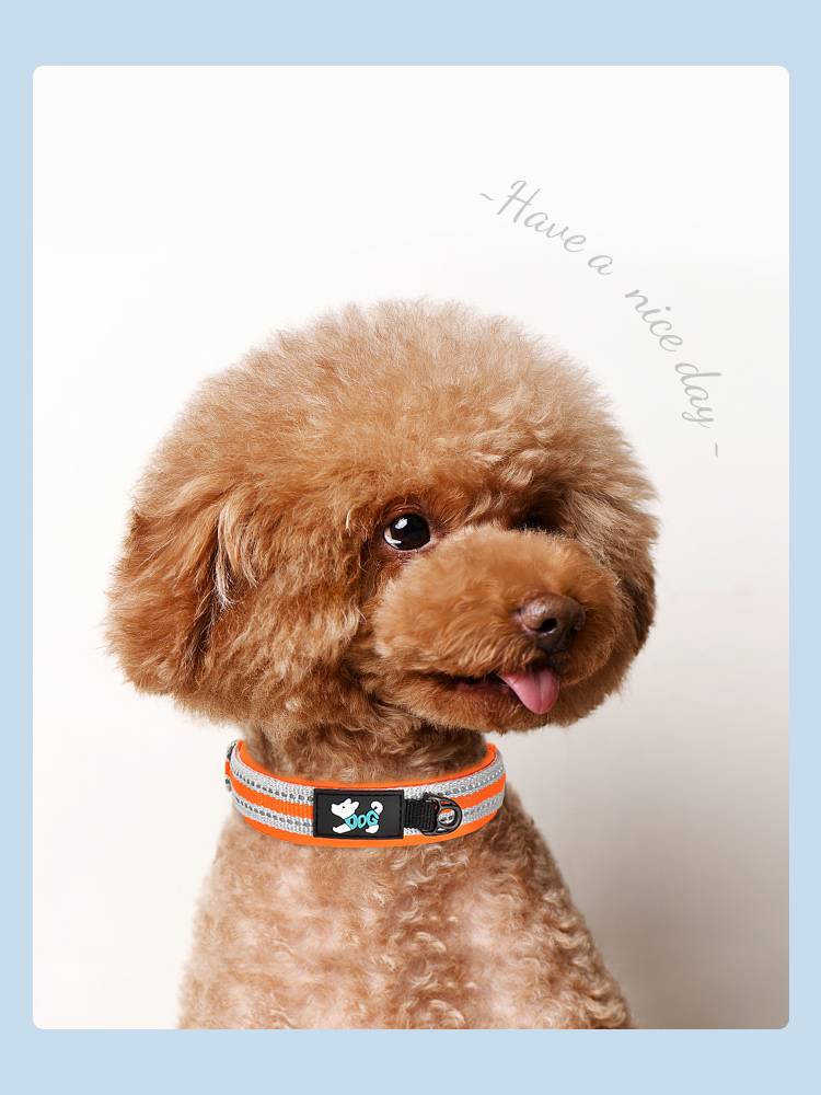 Dog collaboration Small and small dog reflective dog necks anti -taking off dog rope puppies, puppies, traction neck circle pet dog cards