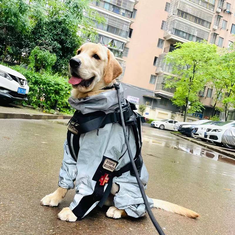 Dog and dog raincoat tactical reflective jacket mid -large dog golden wrapped shepherd out of four feet all -inclusive waterproof rain clothes clothes