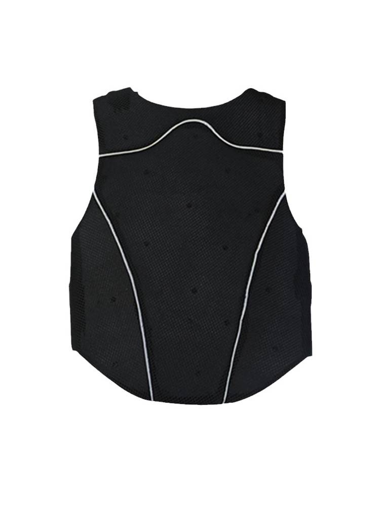 THE HORSE'S GEAR, THE HORSE'S VEST, THE KNIGHT'S SUIT