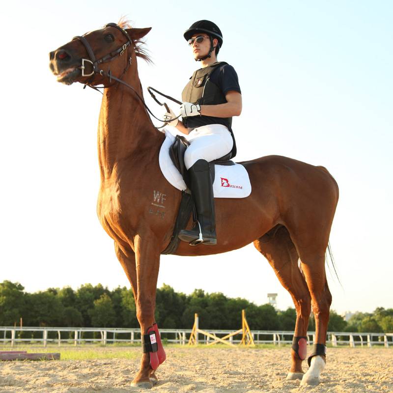Eight -foot dragon spring and autumn horse pants white horse -riding pants ride riding equipment equestrian horse pants horses