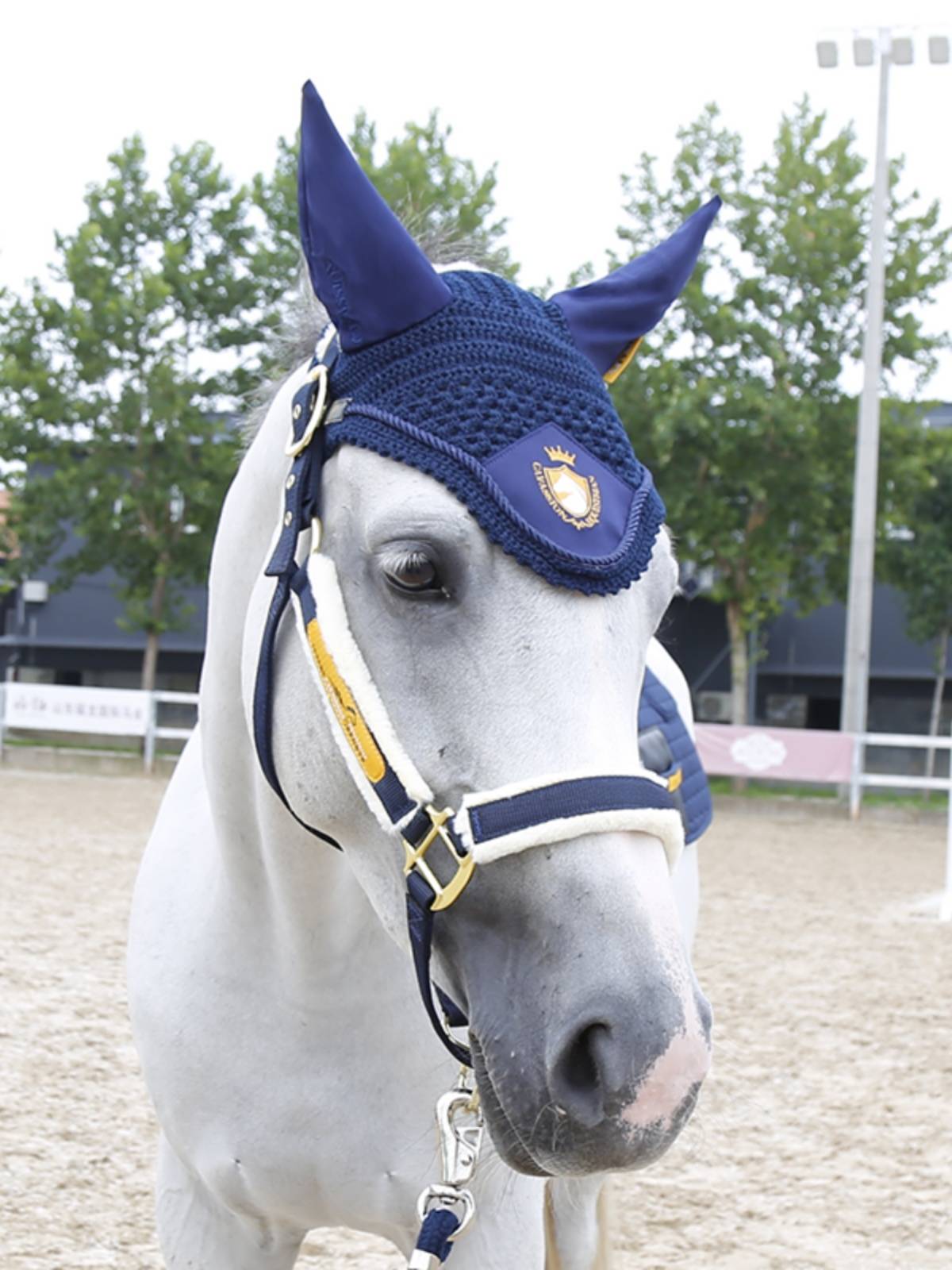 Cavassion Embroidery Malta Malcum Horse Equipment Cavaliers Ride Mortar Rock Malaysia 8216068