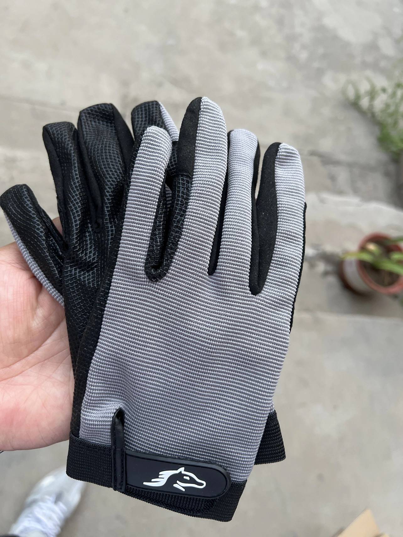 Horse Gloves, horse gloves. Horse Gloves