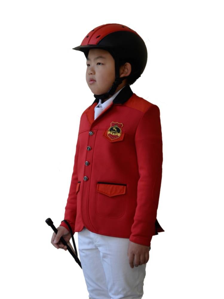 Knight's clothes, children's knight's clothes, horse's costumes, knight's equipment, one man's horses