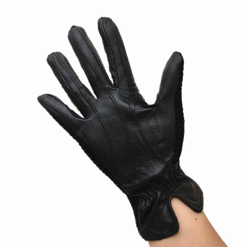 Horse gloves, horse gloves