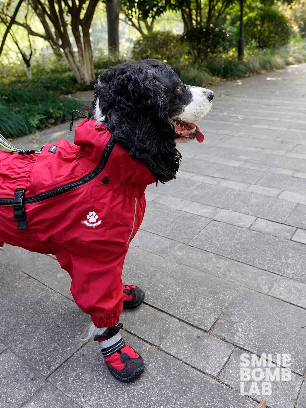 Smile BOMB mid -large dog rain prevention charge, four feet all -inclusive four seasons rainco, pastoral Shiberbin, dog clothes