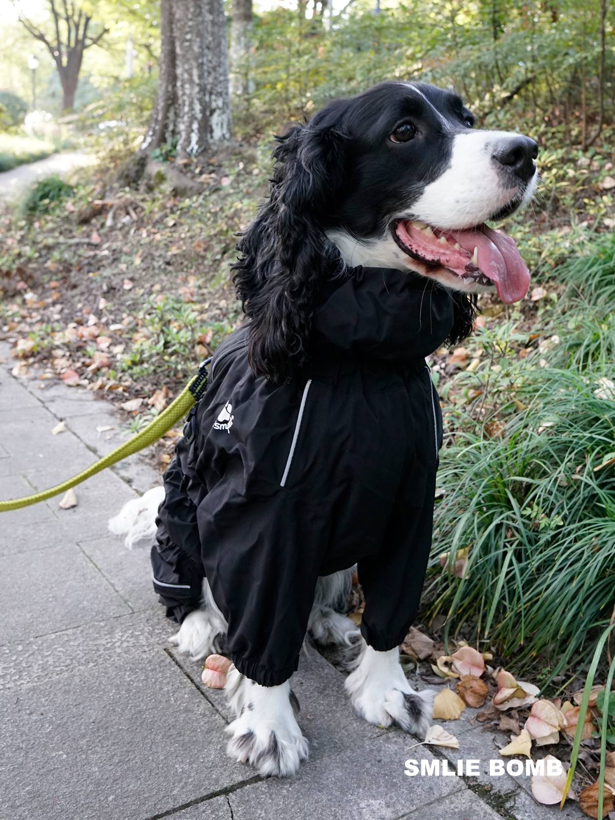 Smile BOMB mid -large dog rain prevention charge, four feet all -inclusive four seasons rainco, pastoral Shiberbin, dog clothes