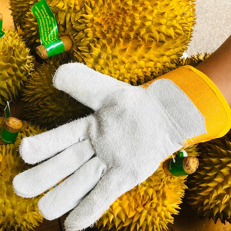 Fruit shop to cut off durian special gloves, thickened picking, picking chestnut anti -scratch anti -tie anti -thorn gloves 1277